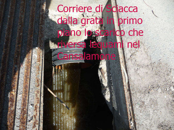 Archivio Notizie Corriere di Sciacca