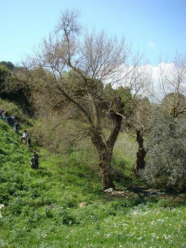 Archivio Notizie Corriere di Sciacca