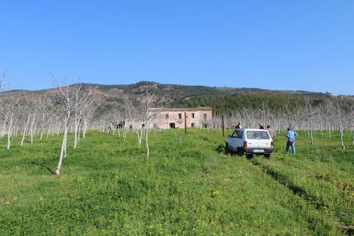 Archivio Notizie Corriere di Sciacca