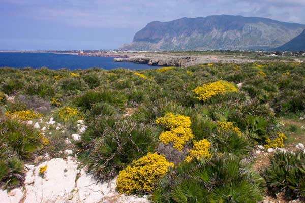 Archivio Notizie Corriere di Sciacca