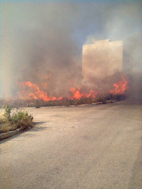 Archivio Notizie Corriere di Sciacca