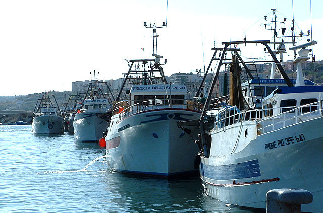 Archivio Notizie Corriere di Sciacca