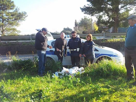 Archivio Notizie Corriere di Sciacca