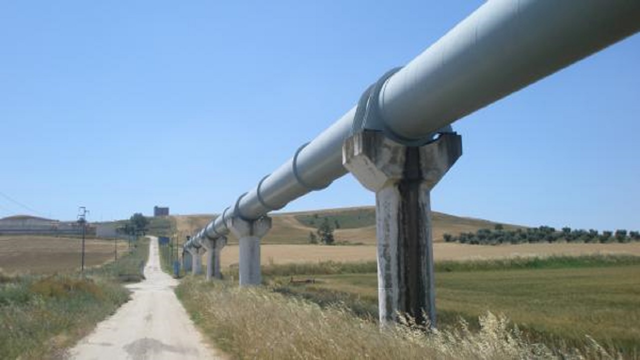 Assessore Sammartino: «Restituiamo centralità agli agricoltori» Il governo Schifani, oggi nella riunione di giunta, ha...