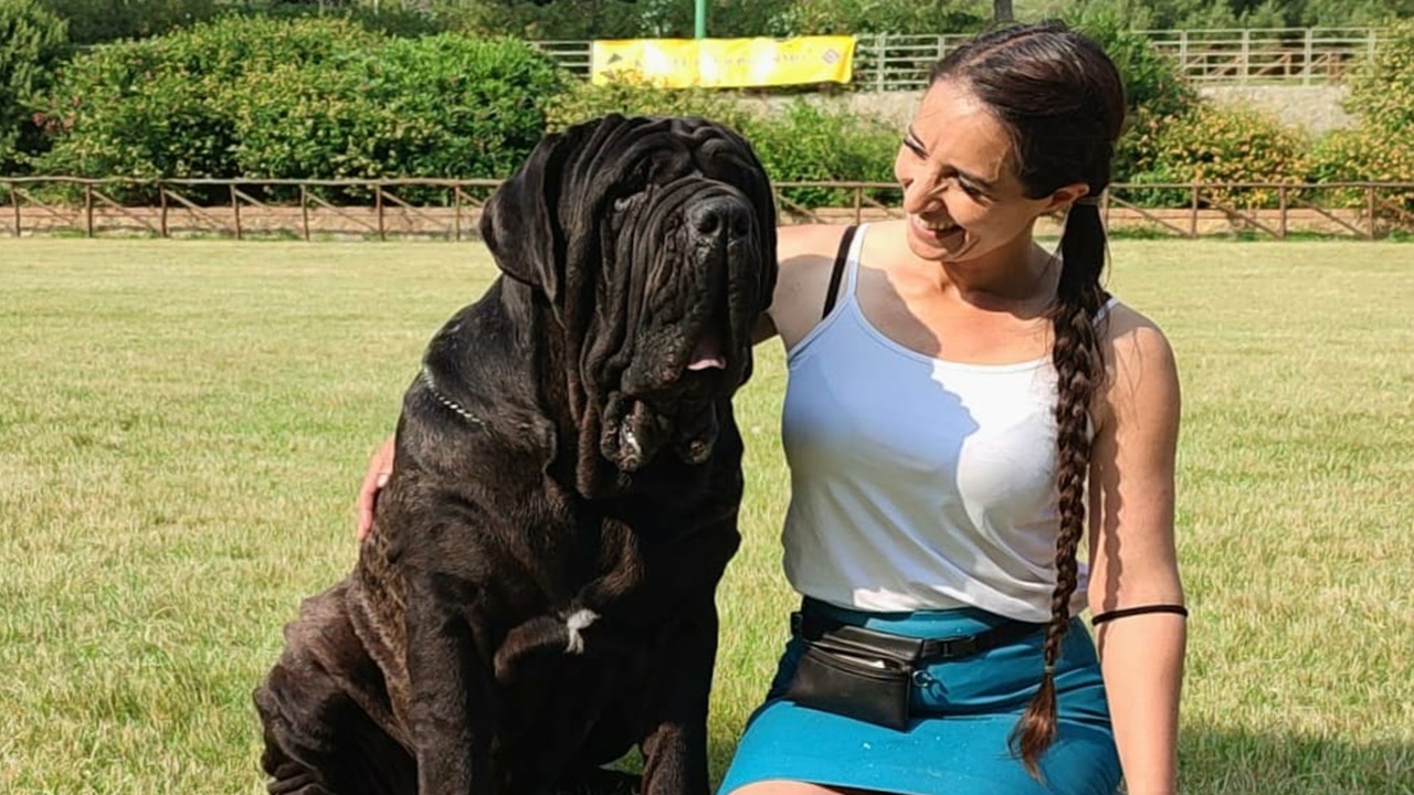 Ha vinto “Sicilia Winner 2015”, competizione che premia il più bel cane tra gli oltre...