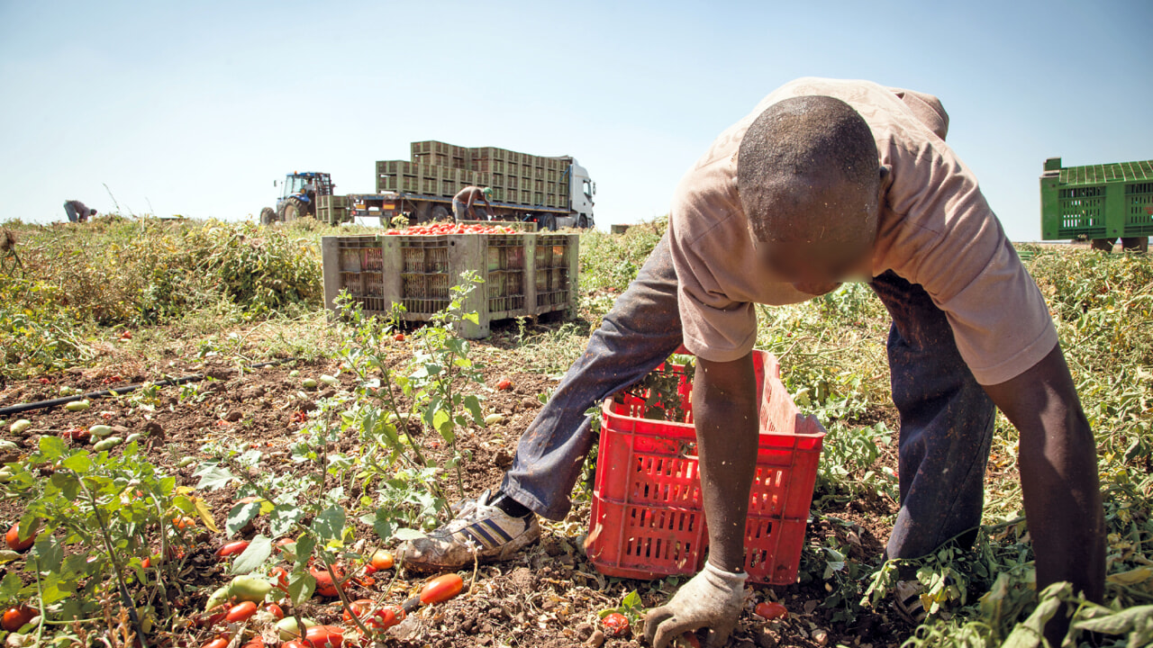 Oggi in Consiglio dei Ministri dovrebbe arri-vare il Dpcm che stabilisce gli ingressi dei lavoratori...