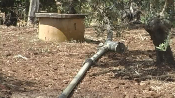 Dal cielo arriva quell’acqua tanto desiderata dagli agricoltori. Quella che le promesse e le enunciazioni...
