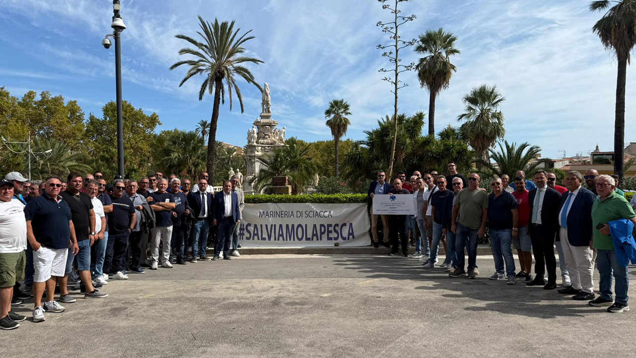 All’incontro con l’assessore Sammartino hanno partecipato i deputati regionali Assenza, Cambiano, Catanzaro, La Rocca Ruvolo...
