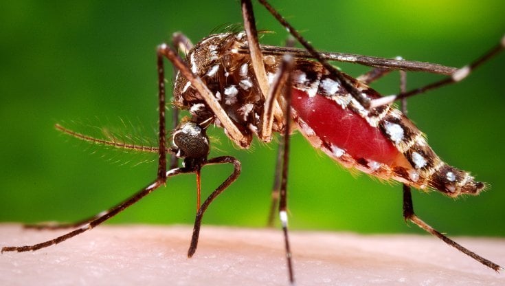 Con l’arrivo dell’estate il giardino diventa uno degli ambienti più vissuti della casa. Lo spazio...