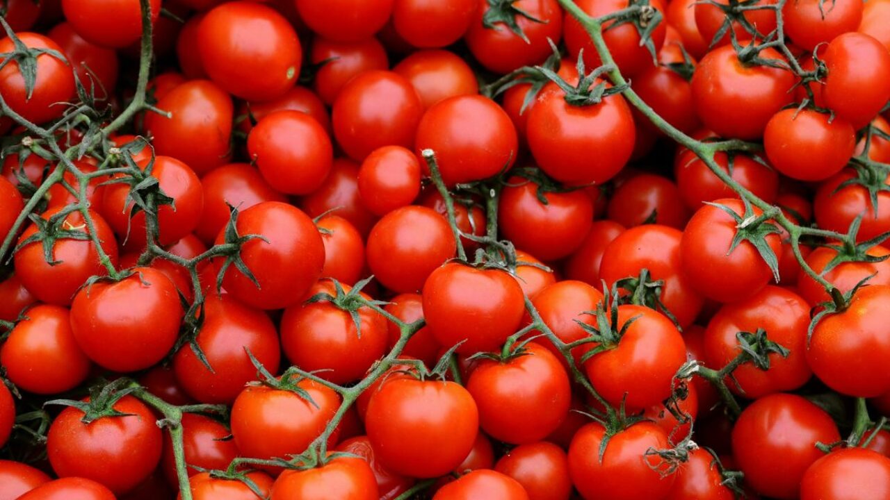 L’allerta europea resta comunque oggetto di attenzione, ma in Italia il settore agricolo e le...