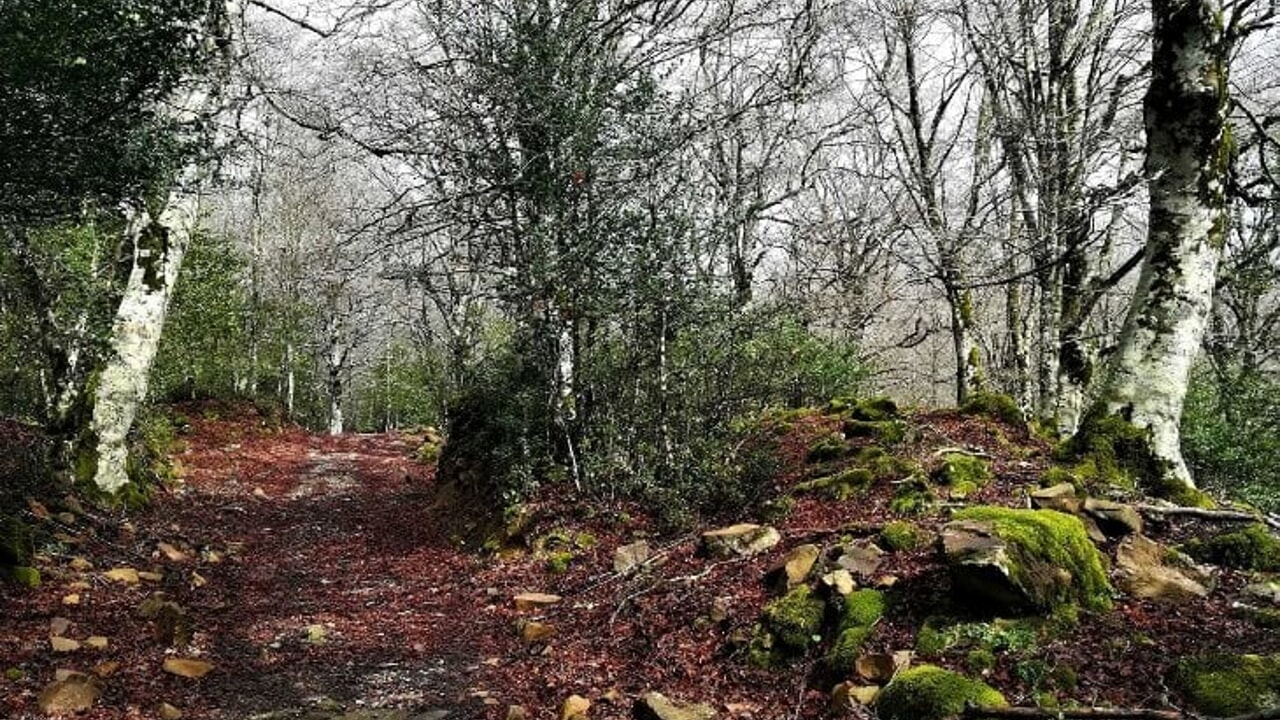 I corpi rinvenuti in una zona impervia di Caristia. Nessuna pista esclusa dagli inquirenti Giallo...